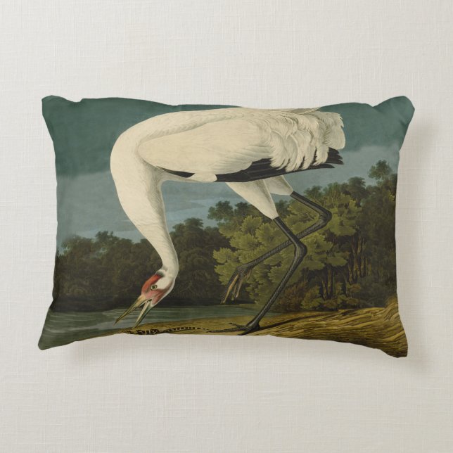 Coussins Décoratifs Grue blanche Audubon Peinture d'oiseaux (Dos)