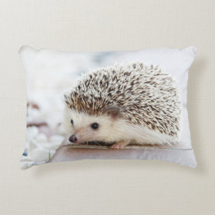 Coussins Décoratifs Hérisson mignon de bébé