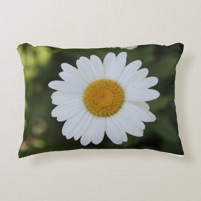 Coussins Décoratifs Hi def photographie d'une Daisy (Devant)