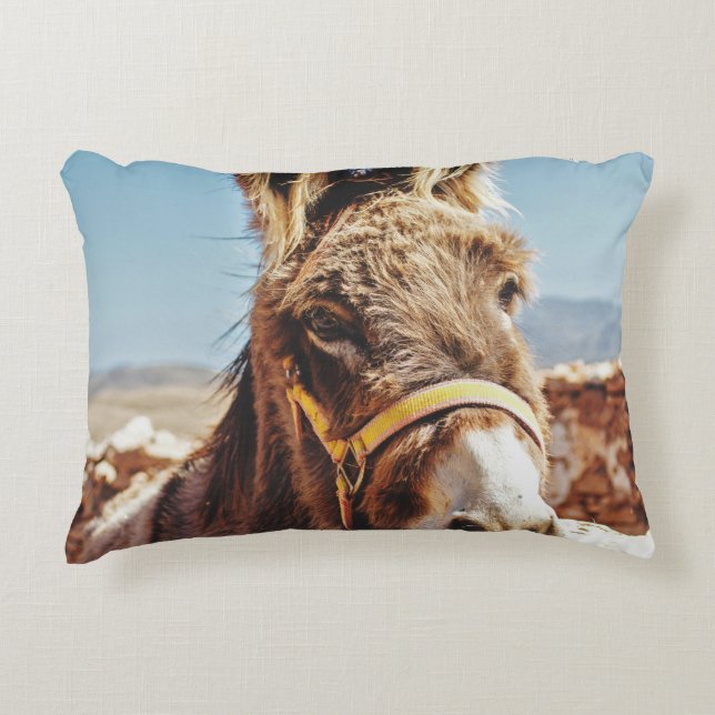 COUSSINS DÉCORATIFS HI DONKEY (Devant)