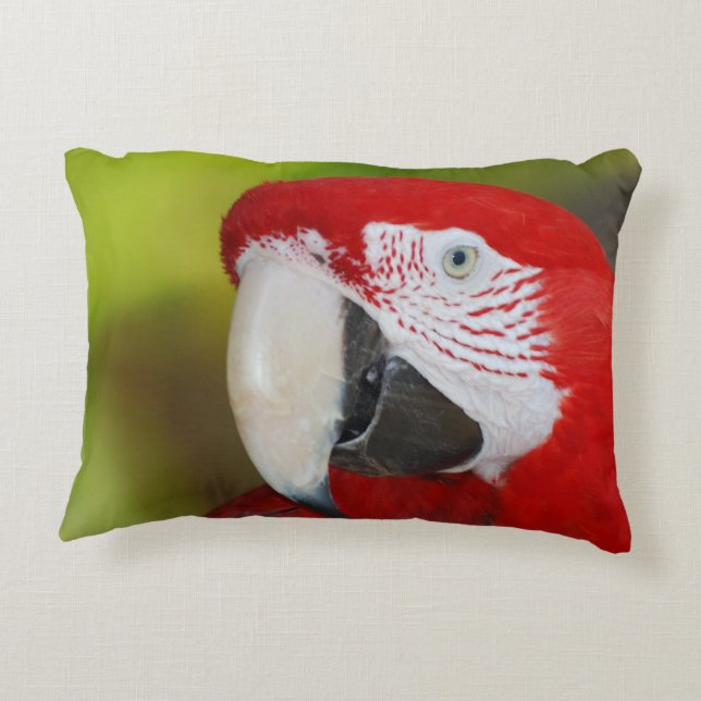 Coussins Décoratifs Joli ara d'écarlate (Dos)
