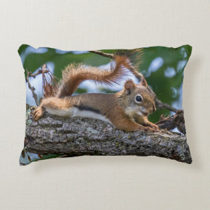 Coussins Décoratifs Joyeux écureuil