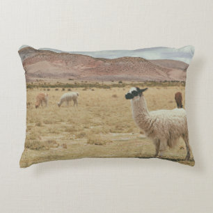 COUSSINS DÉCORATIFS LAMA BLANC EN GRASS BROWN