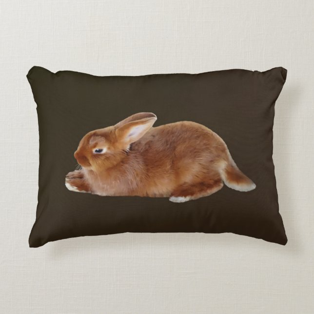 Coussins Décoratifs Lapin Brown (Devant)