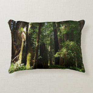 Coussins Décoratifs Les séquoias et les fougères du parc national Redw