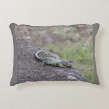 Lizard
