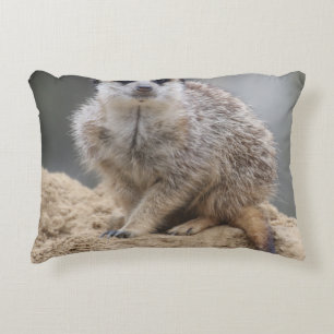 Coussins Décoratifs Meerkat 021