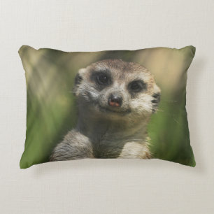 Coussins Décoratifs Meerkat 034