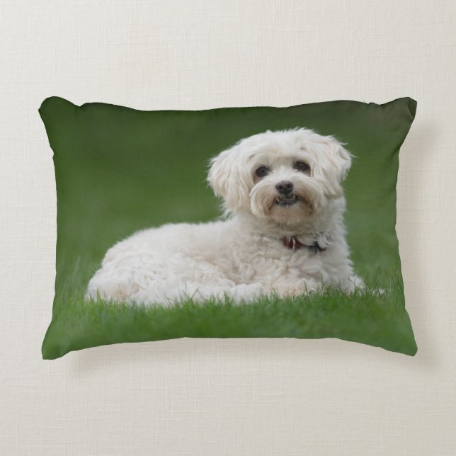 Coussins Décoratifs Moritz the Maltese (Devant)