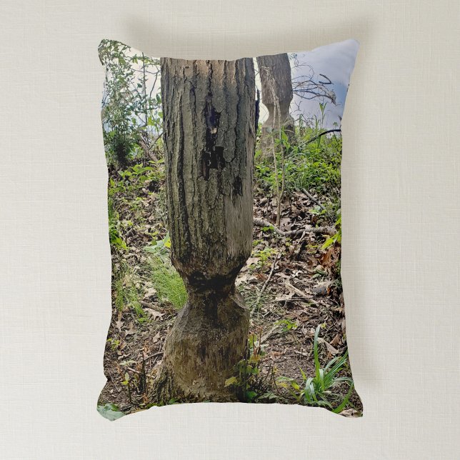 Coussins Décoratifs Oakwoods Metropark Beaver Trail (Créateur téléchargé)