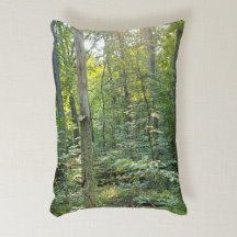 Oakwoods Metropark Trail Summer Forest