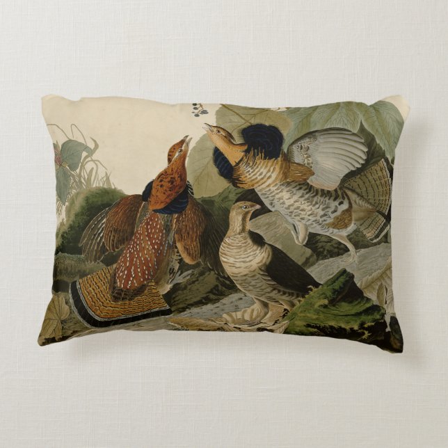 Coussins Décoratifs Oiseau de gibier Audubon (Dos)