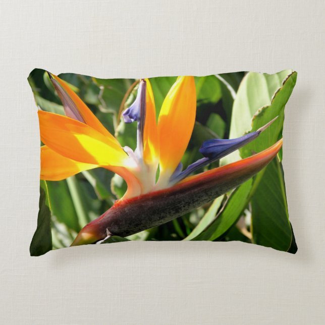 Coussins Décoratifs Oiseau du paradis tropical (Devant)