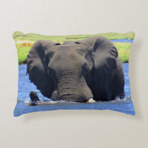 Oreiller à lancer d'éléphant Chobe