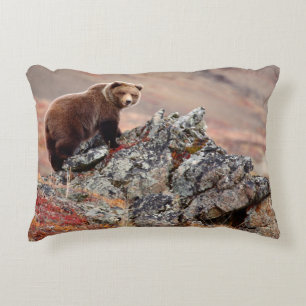 Coussins Décoratifs Ours Brown de Denali