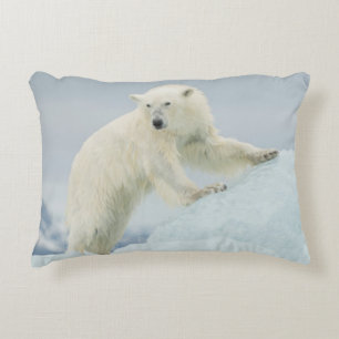 Coussins Décoratifs Ours polaire en été