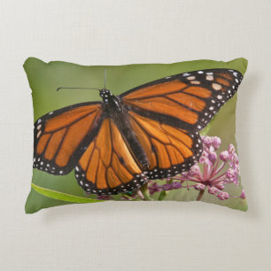 Coussins Décoratifs Papillon monarque mâle sur Asclépiade incarnate