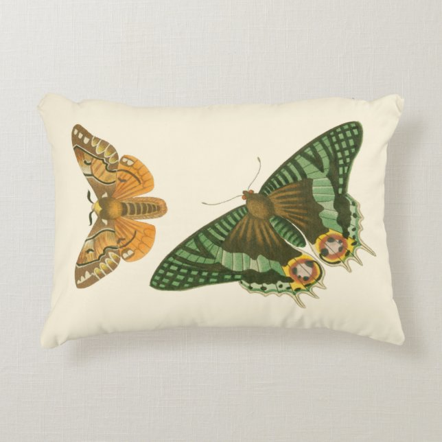 Coussins Décoratifs Peinture à papillon légèrement frontière (Devant)
