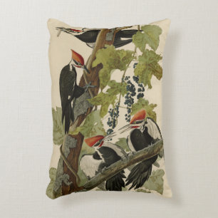 Coussins Décoratifs Pileated Woodpecker from Audubon Birds of America