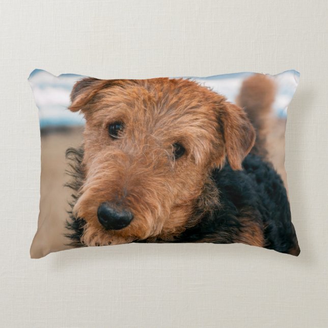 Coussins Décoratifs Portrait d'un Airedale Terrier (Devant)