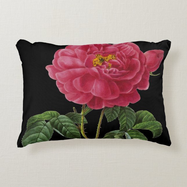 Coussins Décoratifs Rosa Gallica (Devant)