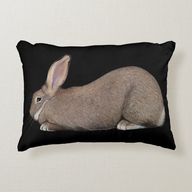 Coussins Décoratifs Sandy Flemish Giant (Devant)