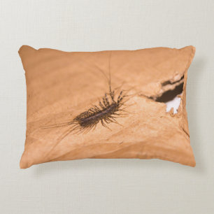 Coussins Décoratifs Scutigère