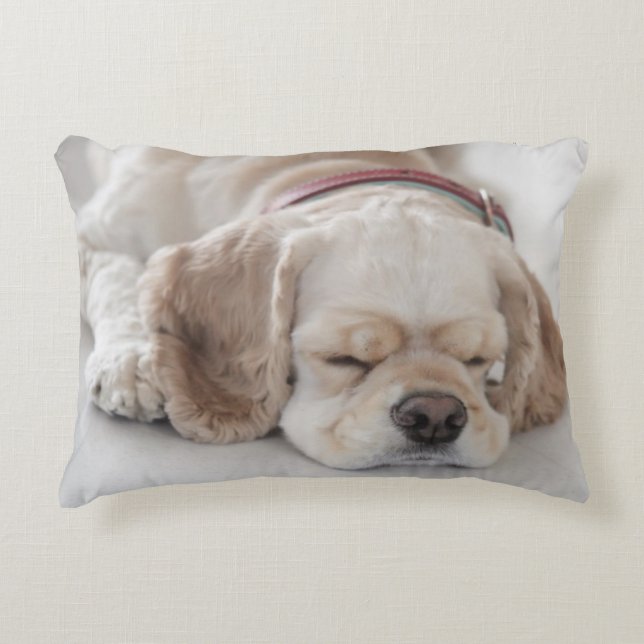 Coussins Décoratifs Sommeil de chien de cocker (Devant)