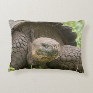 Coussins Décoratifs Tortue géante