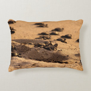 Coussins Décoratifs Tortues de mer
