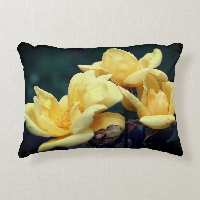 Coussins Décoratifs Trio rose jaune (Devant)