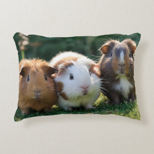 Coussins Décoratifs Trois bébés cochons de Guinée,