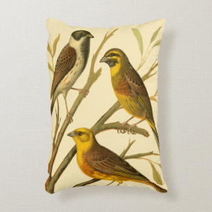 Coussins Décoratifs Trois oiseaux domestiques étés perché sur une