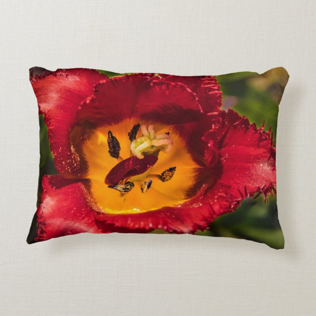Coussins Décoratifs Tuliforme rouge (Dos)