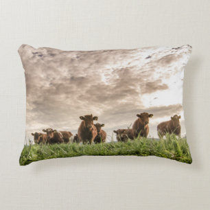 Coussins Décoratifs Vaches