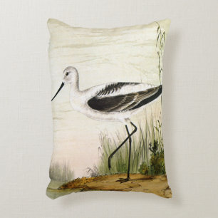 Coussins Décoratifs Vieille vie marine Oiseaux de rivage, oiseaux avoc