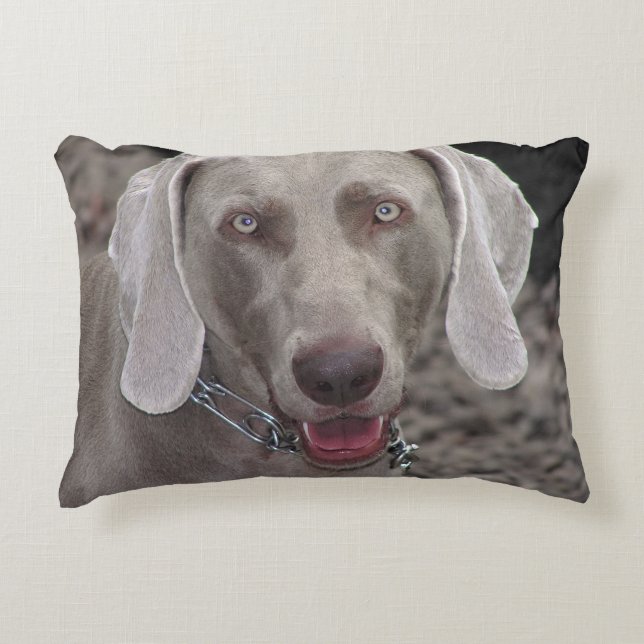 Coussins Décoratifs Weimaraner (Devant)