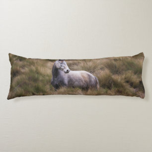 Coussins Longs Beau Cheval gris coloré