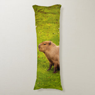 Coussins Longs Capybara