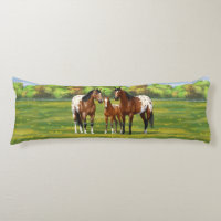 Chevaux Appaloosa De Baie Brown En Pâturage D'Été