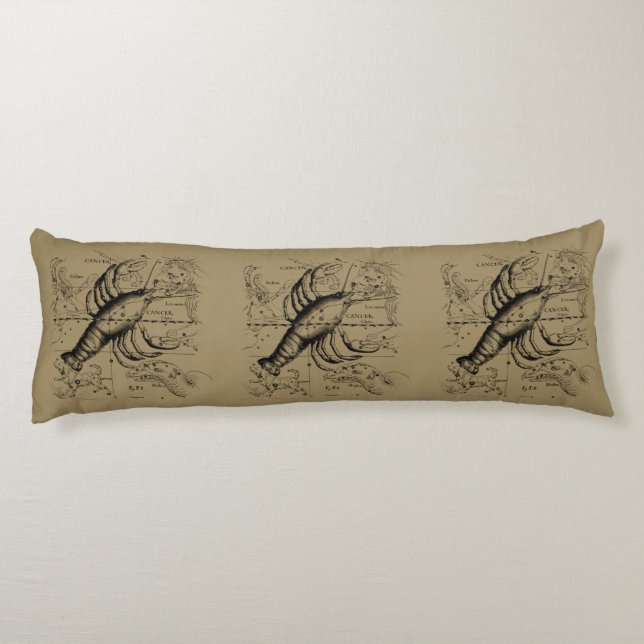 Coussins Longs Constellation du cancer par Hevelius vers 1690 (Dos)