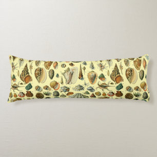 Coussins Longs Coquillages de coquillages Mollusk Clam Élégant Ar