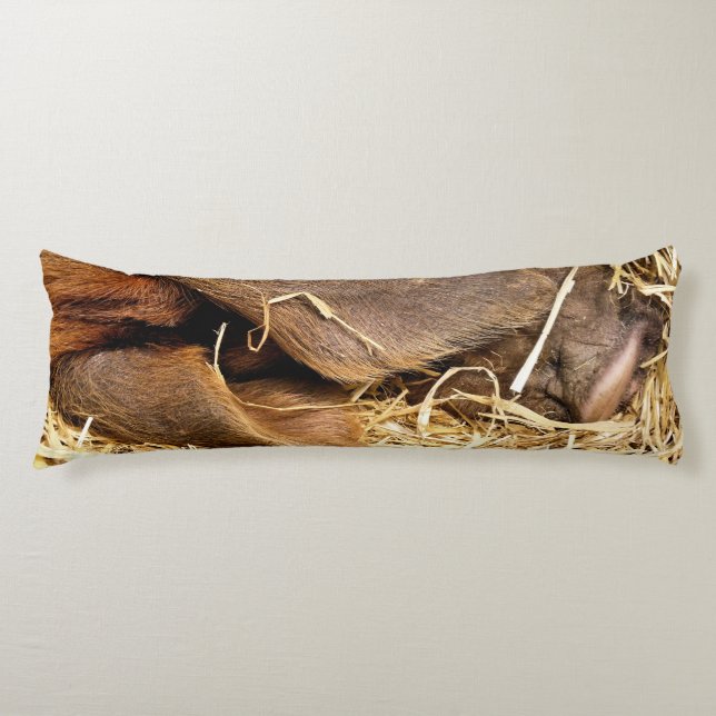 COUSSINS LONGS PIÈCES (Devant)