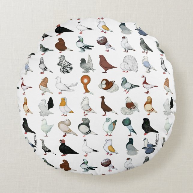 Coussins Ronds 36 races de pigeon (Devant)