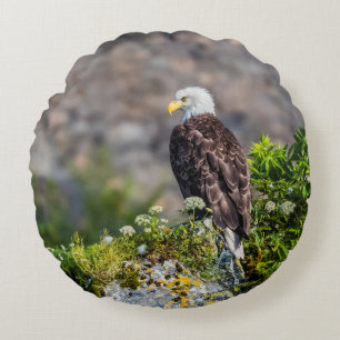 Coussins Ronds Aigle bald assis sur le rocher