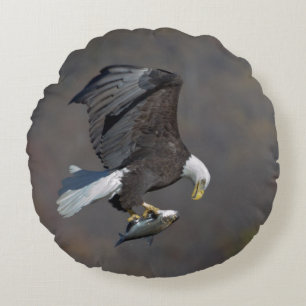 Coussins Ronds Aigle chauve regardant un poisson