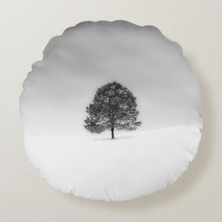 COUSSINS RONDS AIMEZ LA SIMPLICITÉ DE LA PHOTOGRAPHIE HIVER C'EST