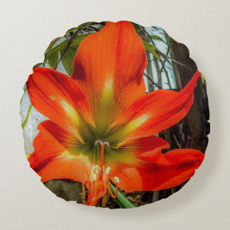 Coussins Ronds Amaryllis Closeup Round Pillow 