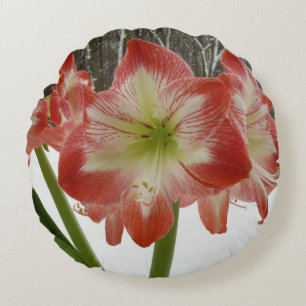 Coussins Ronds Amaryllis en Fête Rouge Neige Hiver Floral
