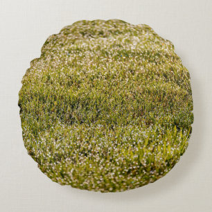 Coussins Ronds Arrière - plan d'herbe fraîche vert printemps, ave
